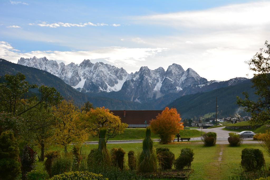 Apartment Almroeserl Edelweiss Gosau Dış mekan fotoğraf