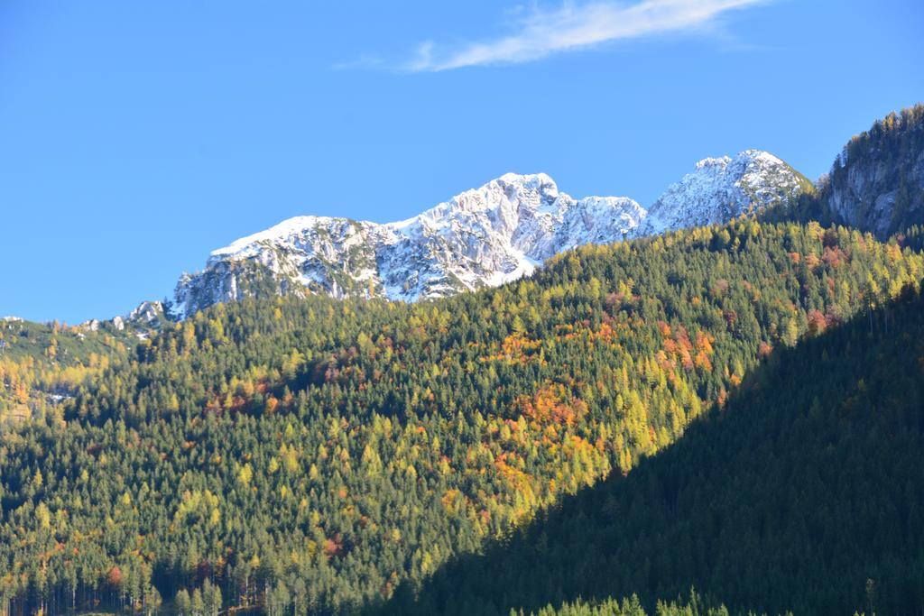 Apartment Almroeserl Edelweiss Gosau Dış mekan fotoğraf